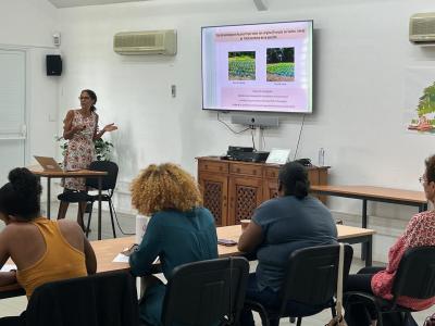 Présentation de l’effet de Ralstonia Solanacearum sur la mycorhization du gros thym  par Laure Hannibal. © J. Réminy, Cirad